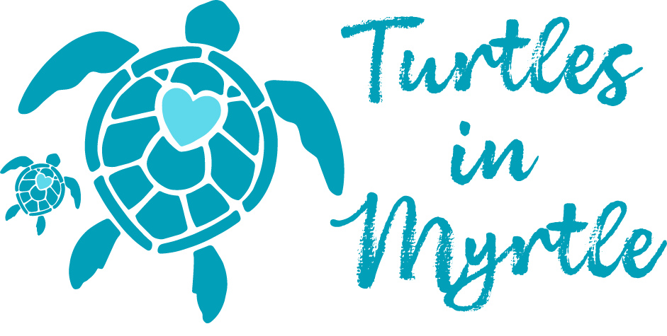 Turtles in Myrtle Oceanfront Condo